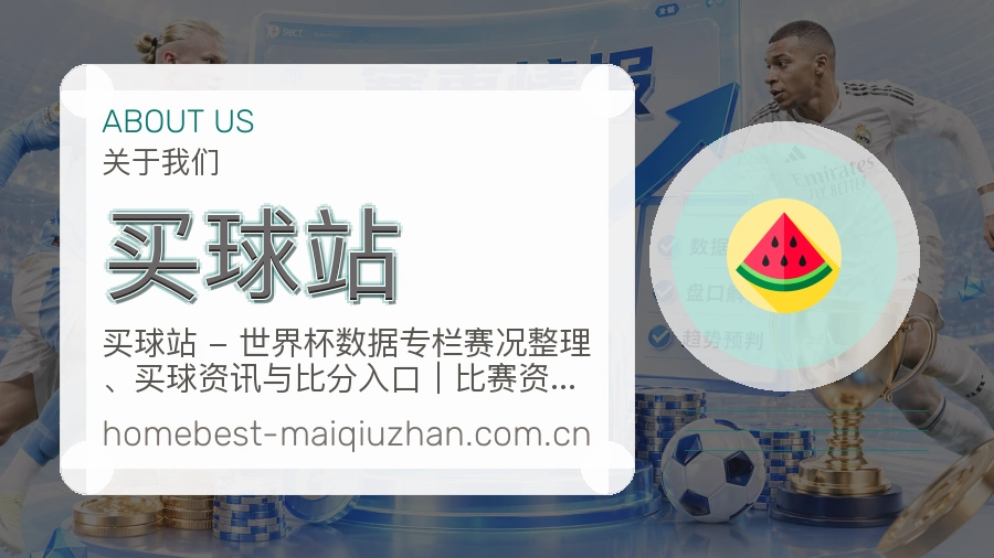 平台客服支持说明展示